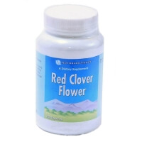 Квітки червоної конюшини (Red clover flowers)